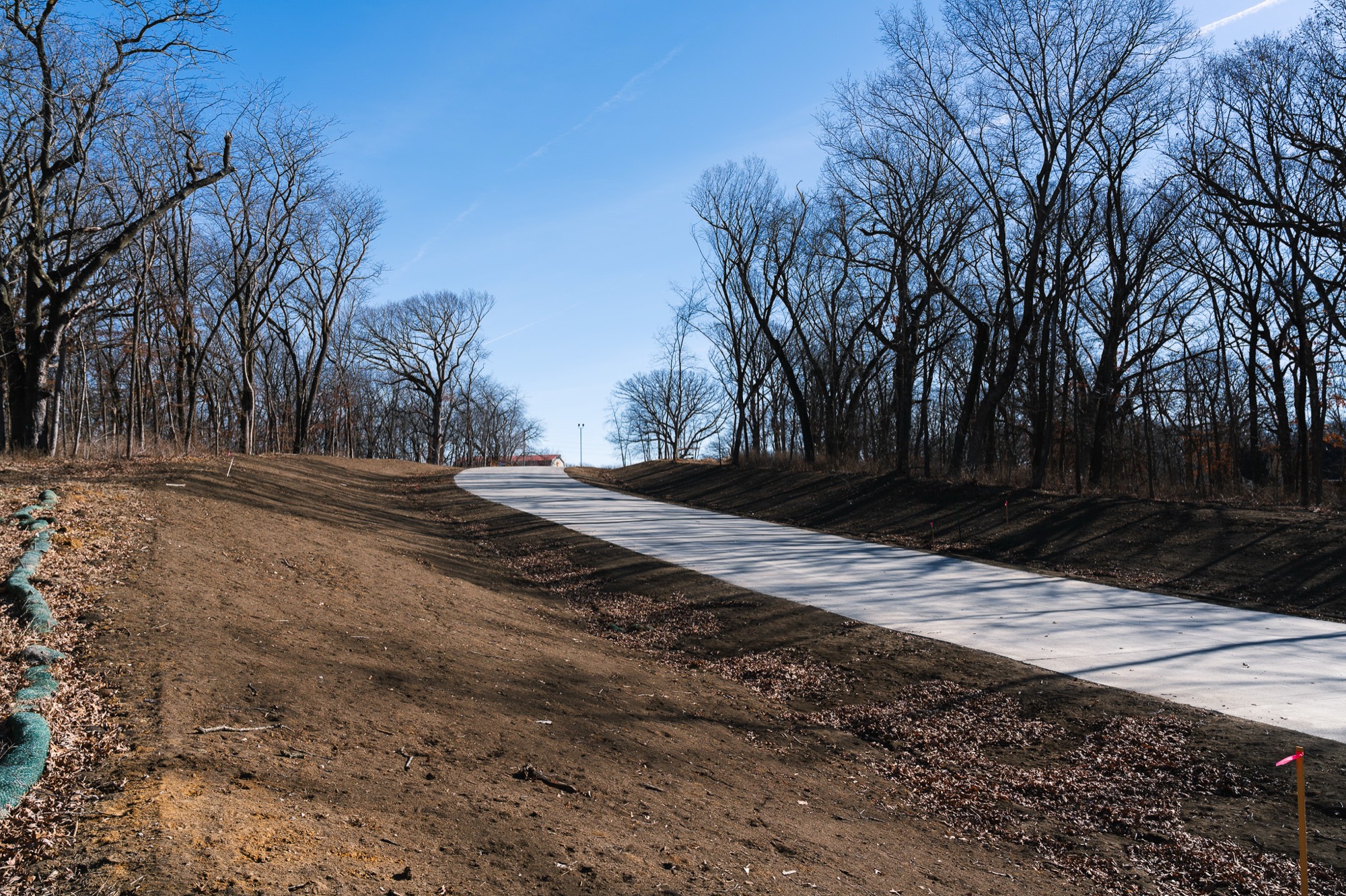 A paved street curving up through standing timber at Summerset Estates